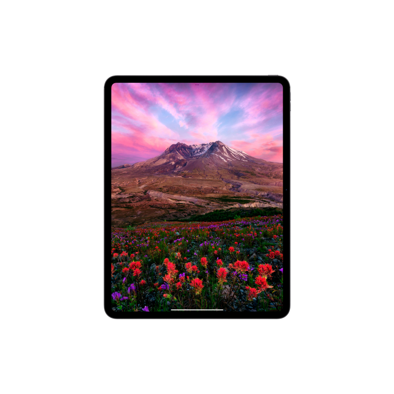 Apple iPad Pro (M4)