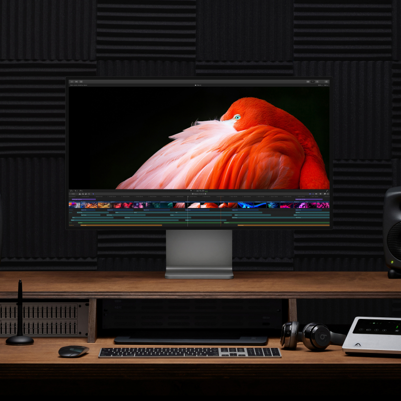 Монитор Apple Pro Display XDR Retina 6K 32", стандартное стекло (без подставки)