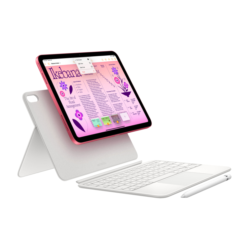 Apple iPad 11" (A16) Wi-Fi 512 ГБ, Розовый